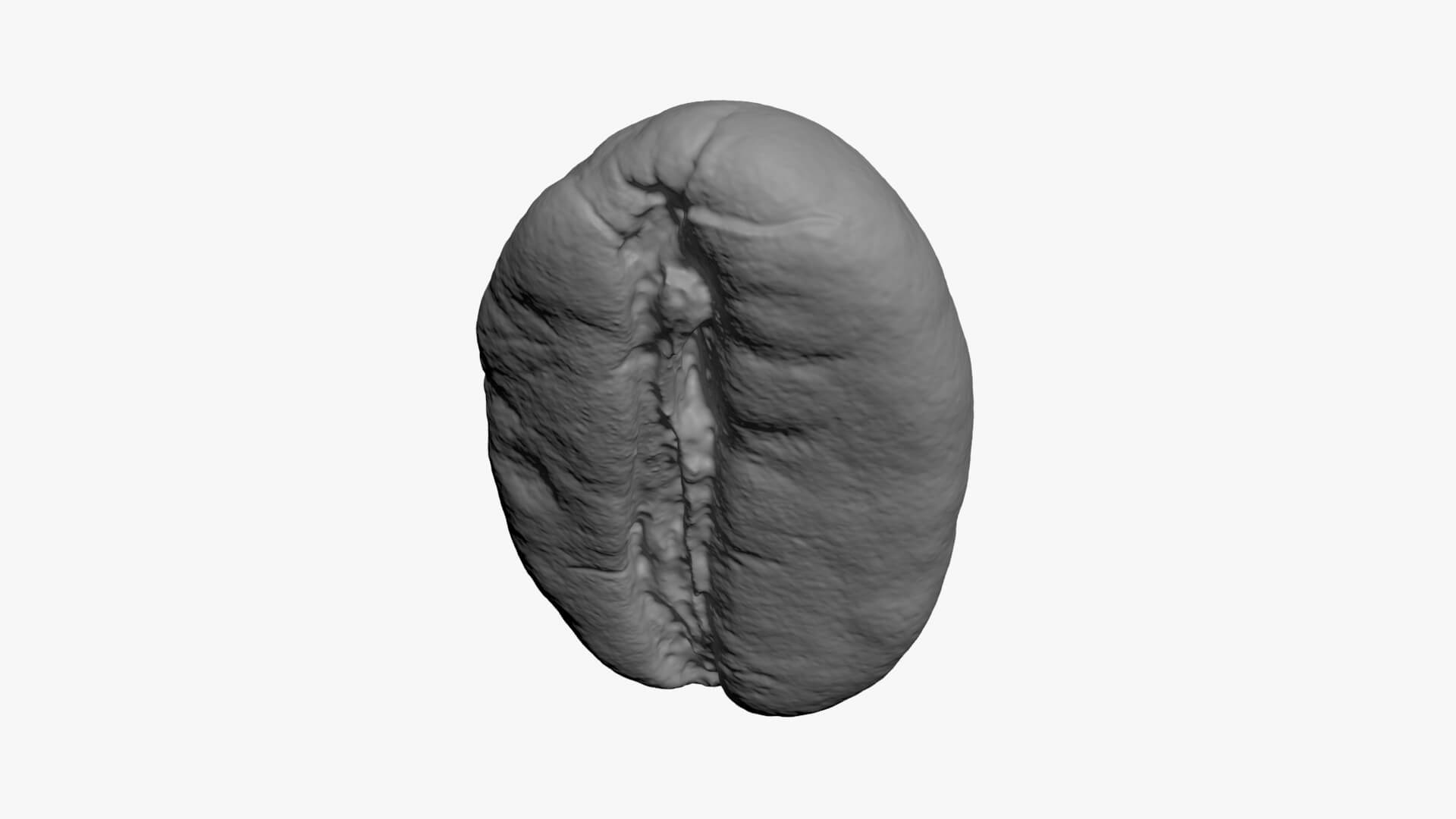 Coffee Bean 03 - For 3D Print 3D Model
