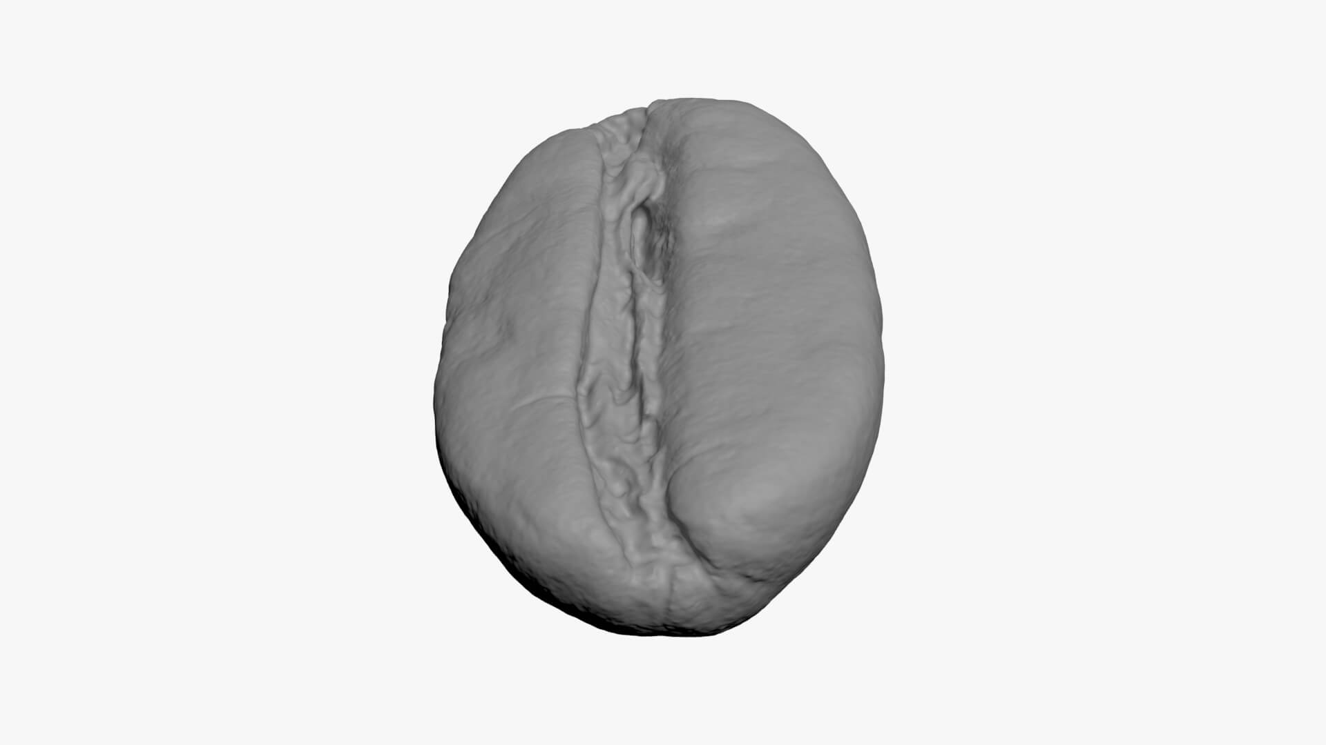 Coffee Bean 03 - For 3D Print 3D Model