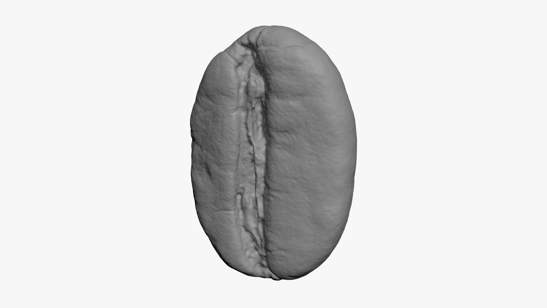 Coffee Bean 03 - For 3D Print 3D Model