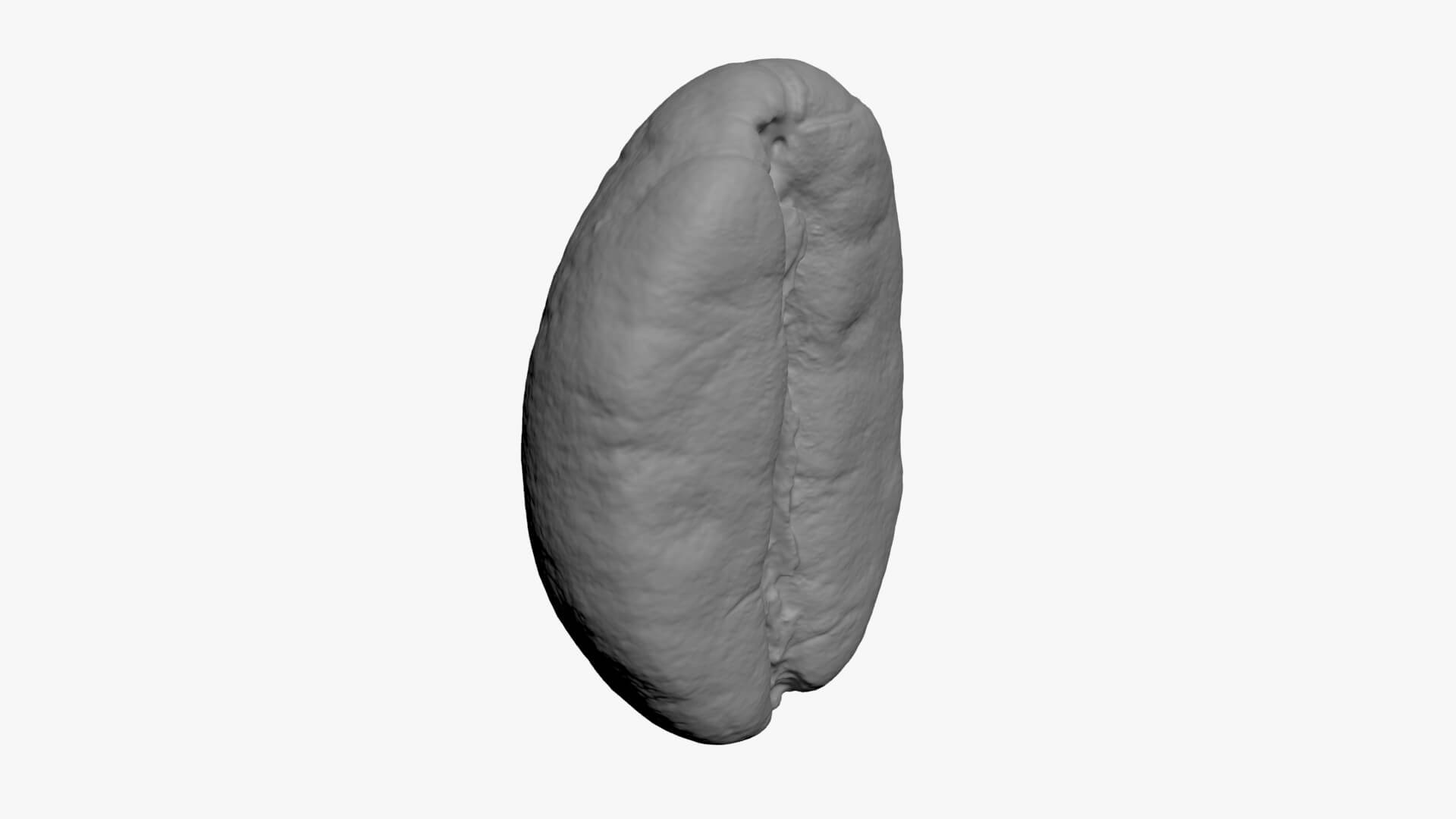 Coffee Bean 03 - For 3D Print 3D Model