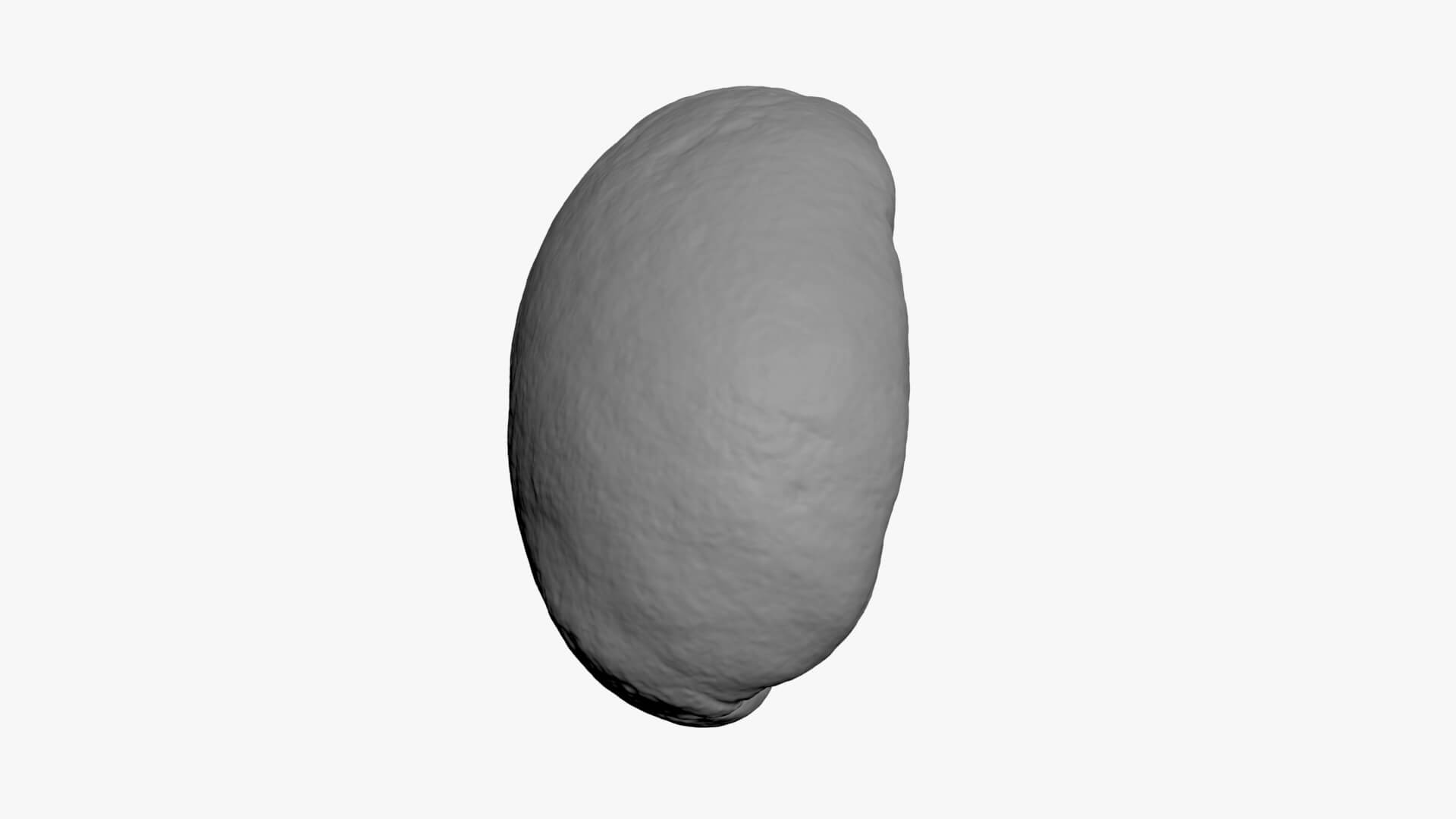 Coffee Bean 03 - For 3D Print 3D Model