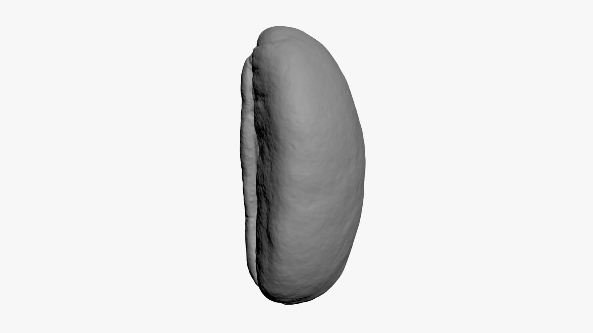 Coffee Bean 03 - For 3D Print 3D Model