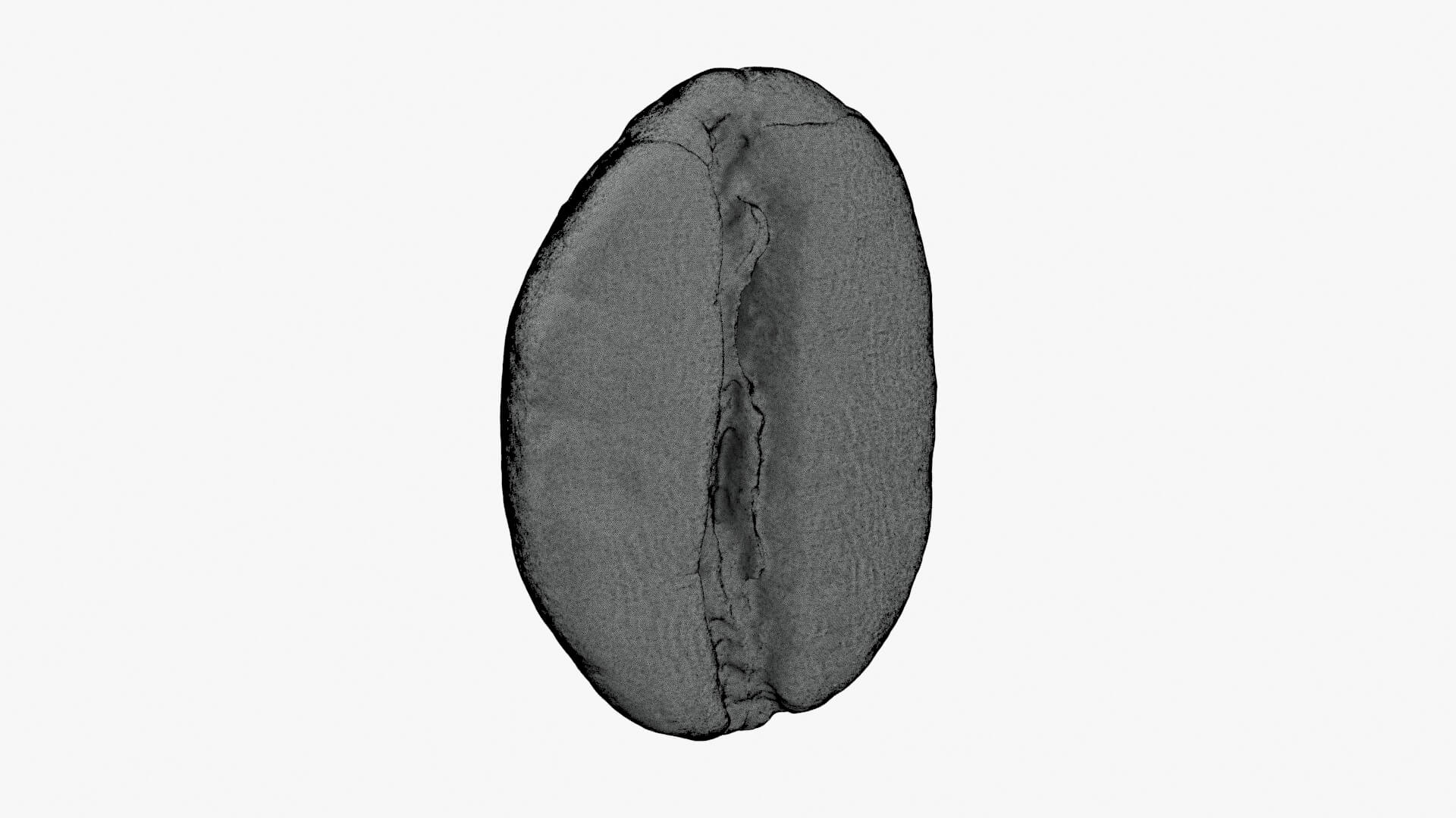 Coffee Bean 03 - For 3D Print 3D Model