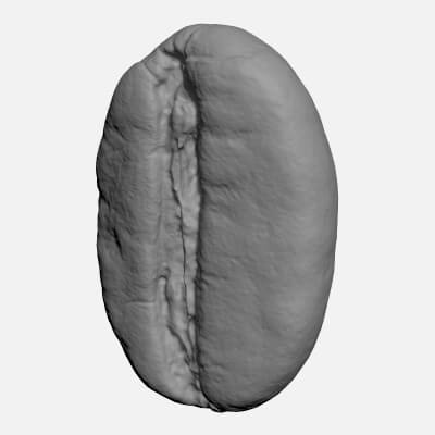 Coffee Bean 03 - For 3D Print