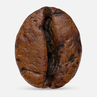 Coffee Bean 04