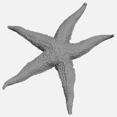 Common Starfish 01 - For 3D Print