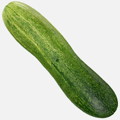 Realistic Cucumber 01