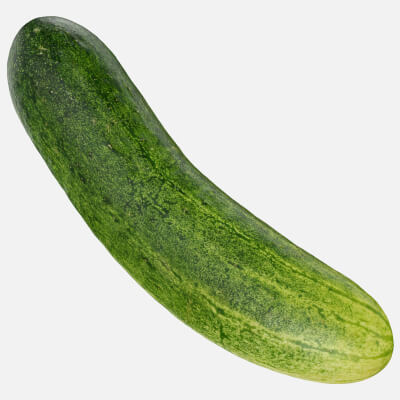 Realistic Cucumber 02