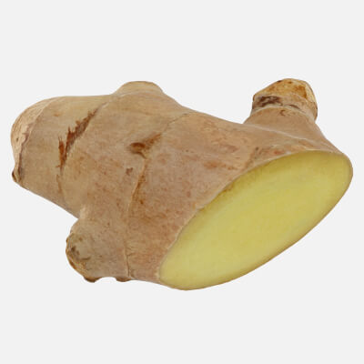 Realistic Cut Ginger
