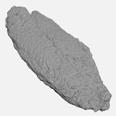 Dory Fish Steak - For 3D Print