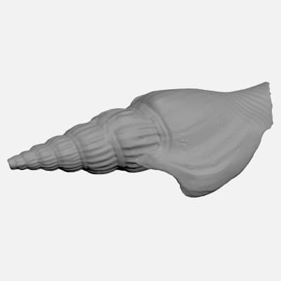 Doxander Vittatus - For 3D Print