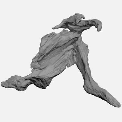 Driftwood Piece 01 - For 3D Print