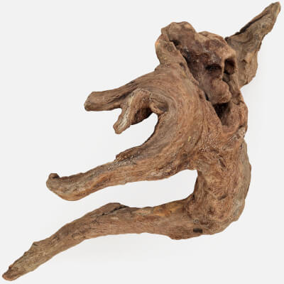 Driftwood Piece 01