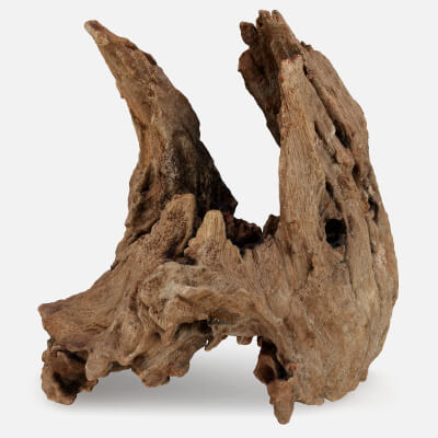 Driftwood Piece 02