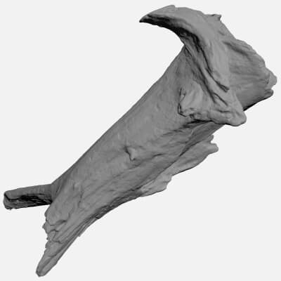 Driftwood Piece 03 - For 3D Print