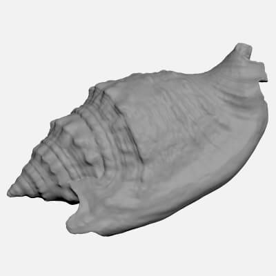 Euprotomus Aurisdianae - For 3D Print