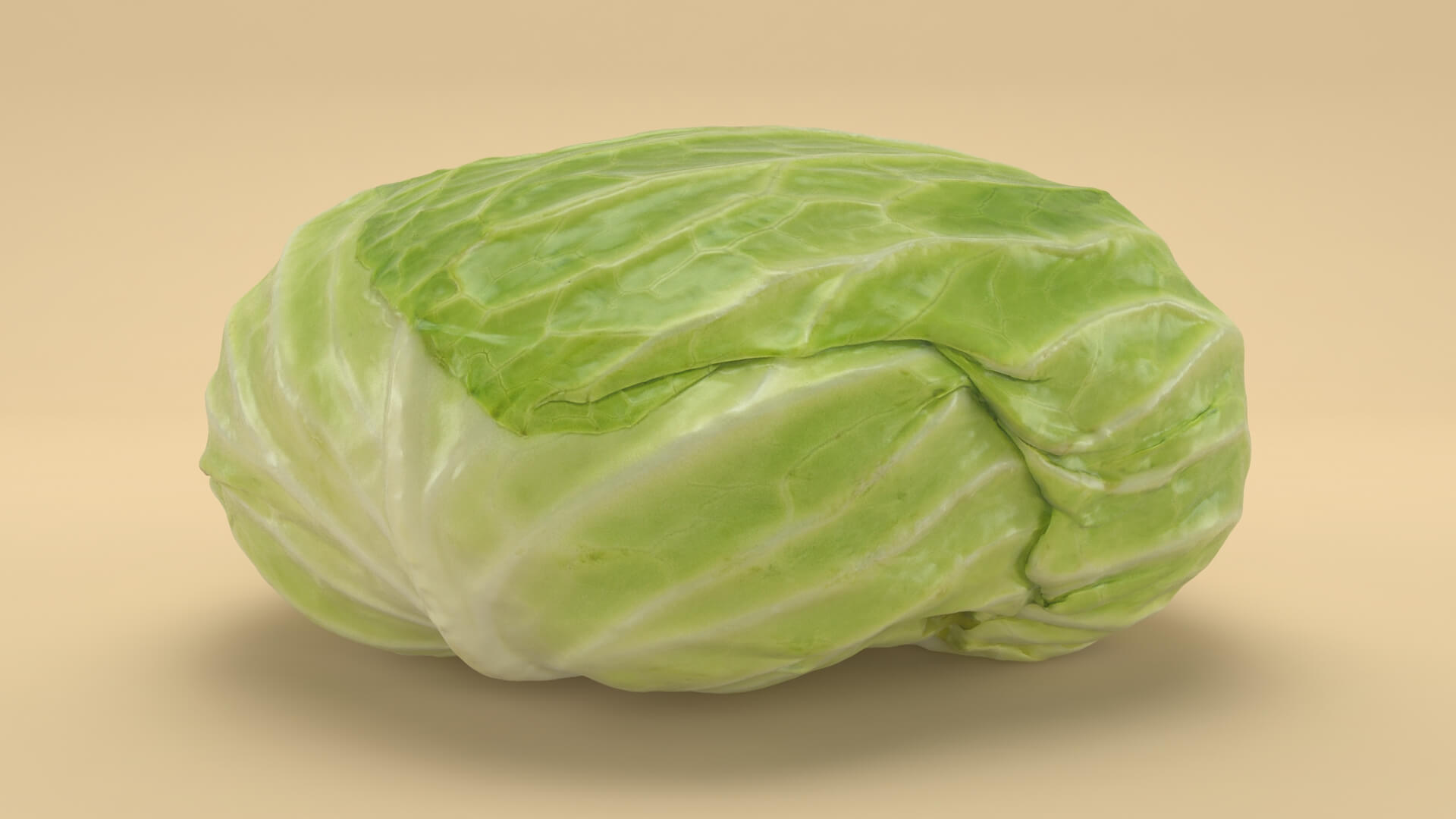 Flat Cabbage - 3D Scanned 3D Model