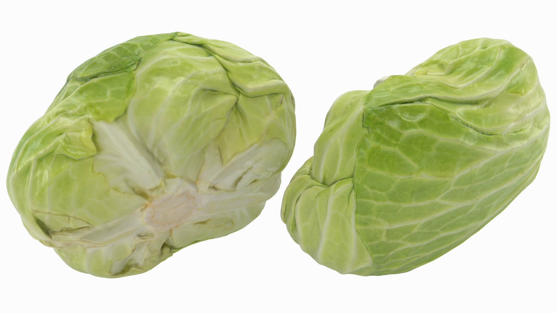 Flat Cabbage - 3D Scanned 3D Model