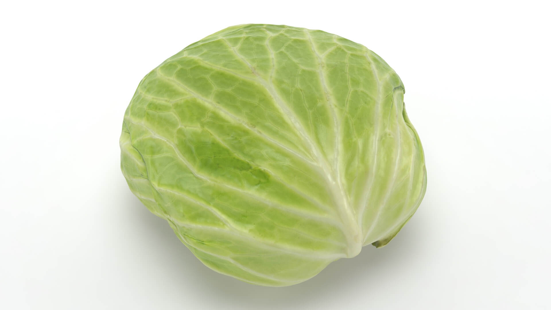 Flat Cabbage - 3D Scanned 3D Model