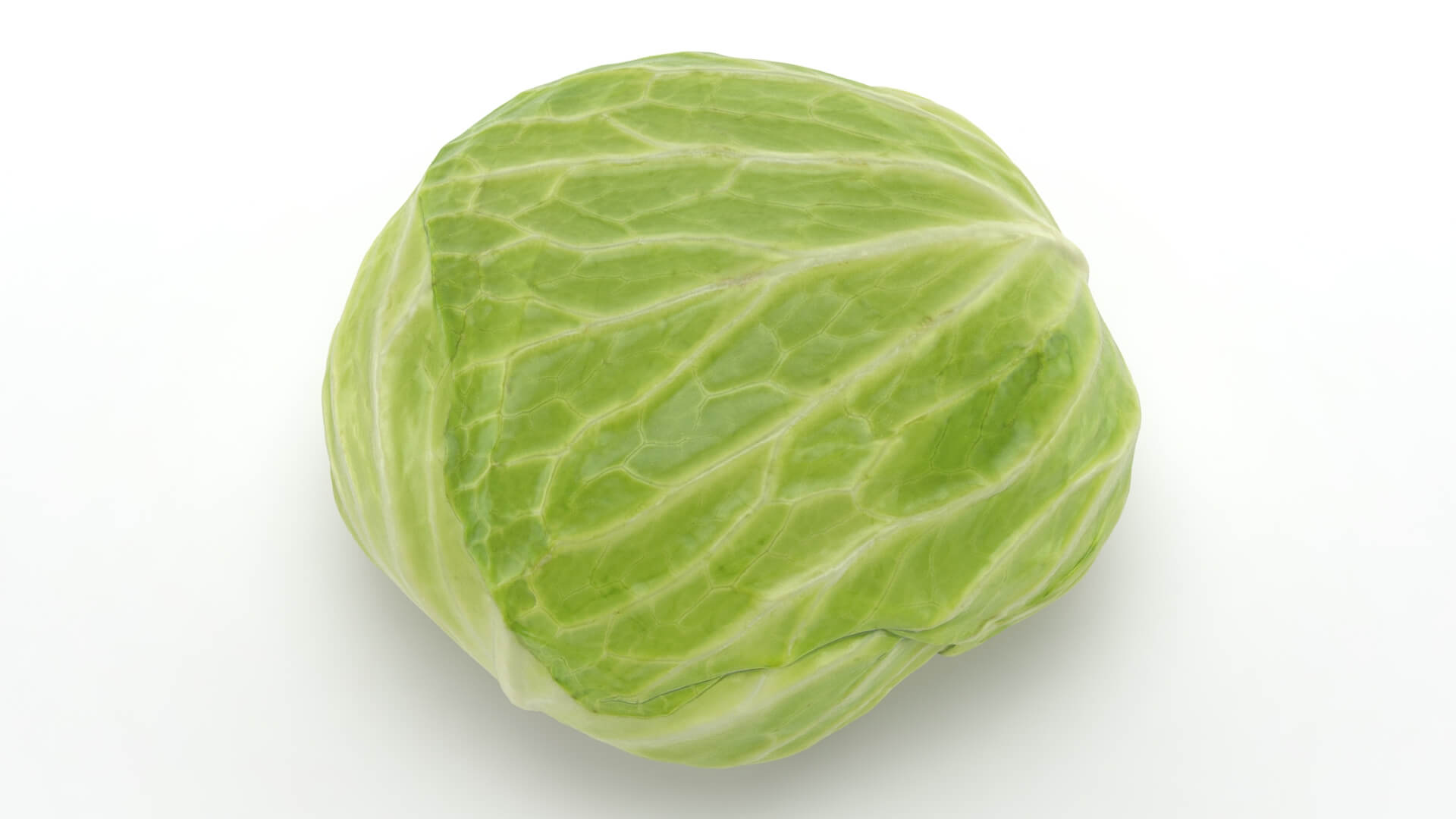 Flat Cabbage - 3D Scanned 3D Model
