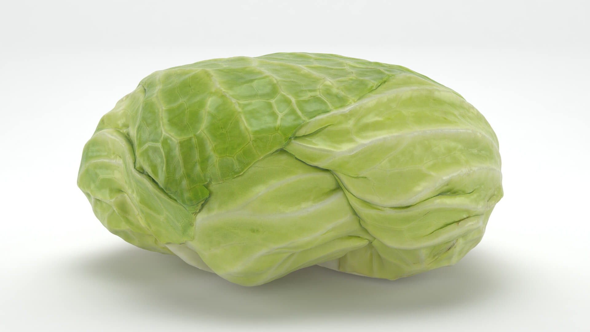 Flat Cabbage - 3D Scanned 3D Model