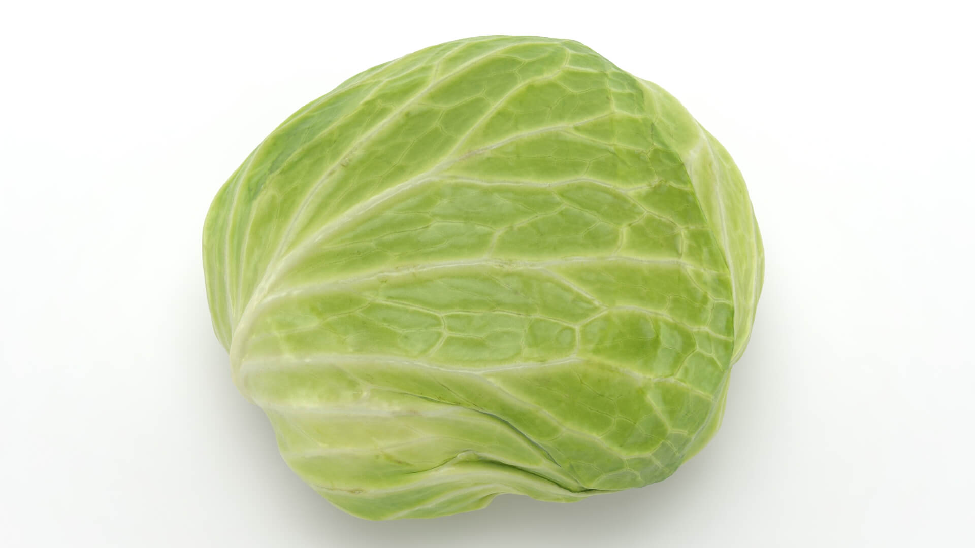 Flat Cabbage - 3D Scanned 3D Model