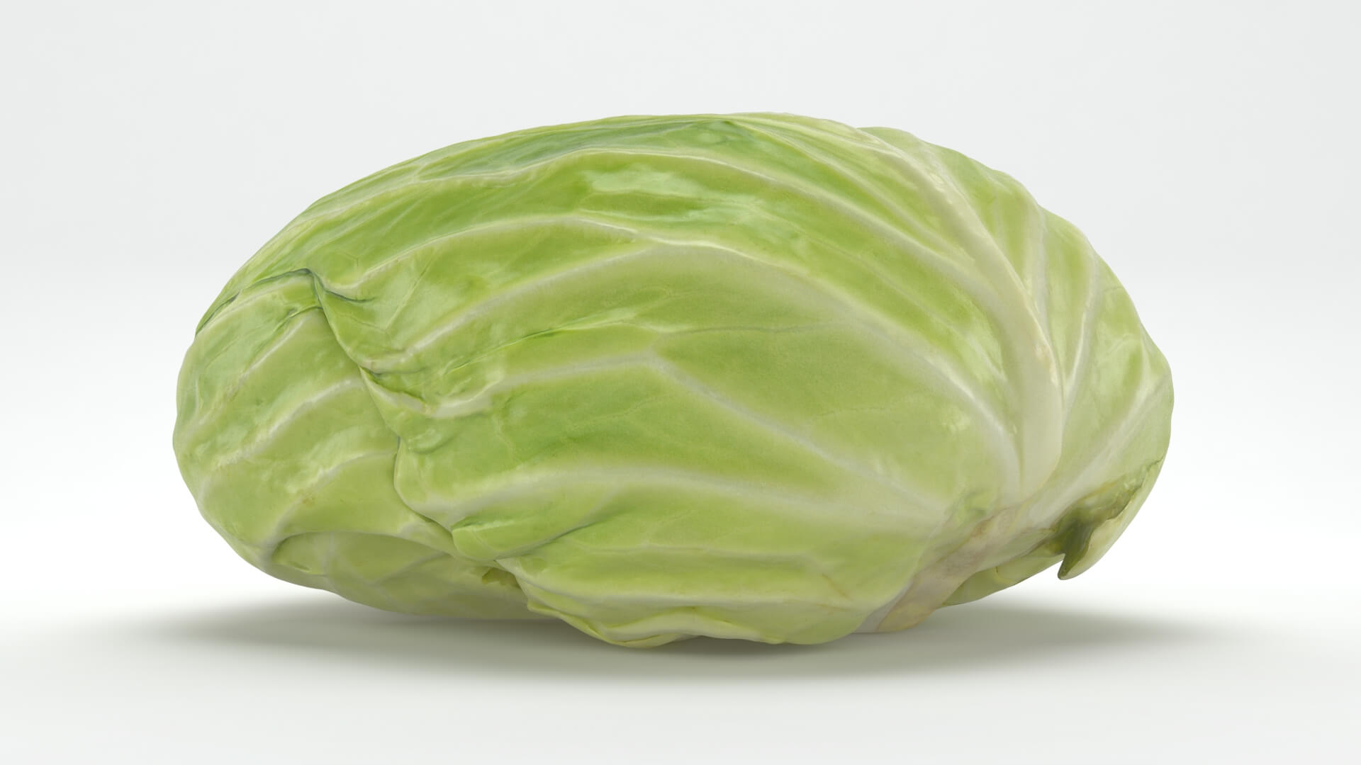 Flat Cabbage - 3D Scanned 3D Model