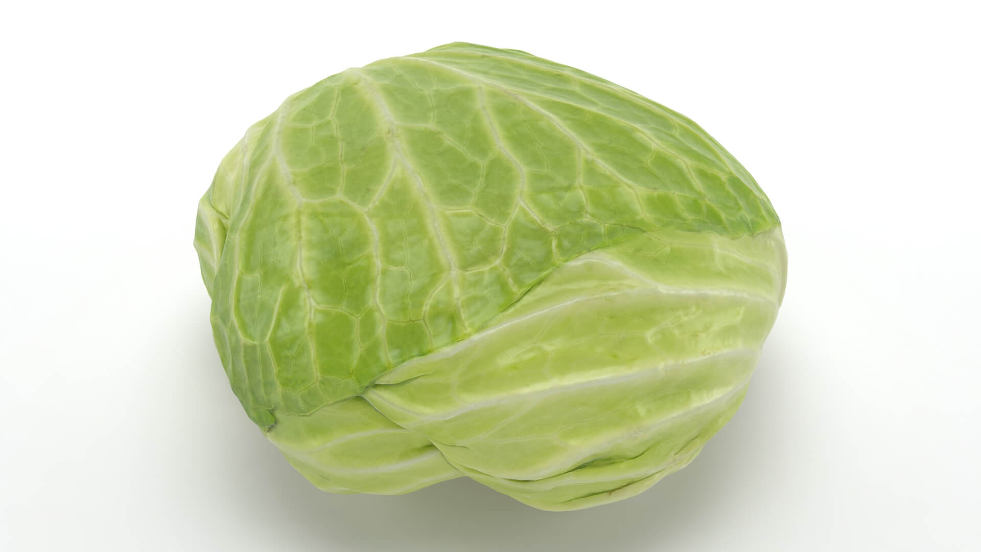 Flat Cabbage - 3D Scanned 3D Model