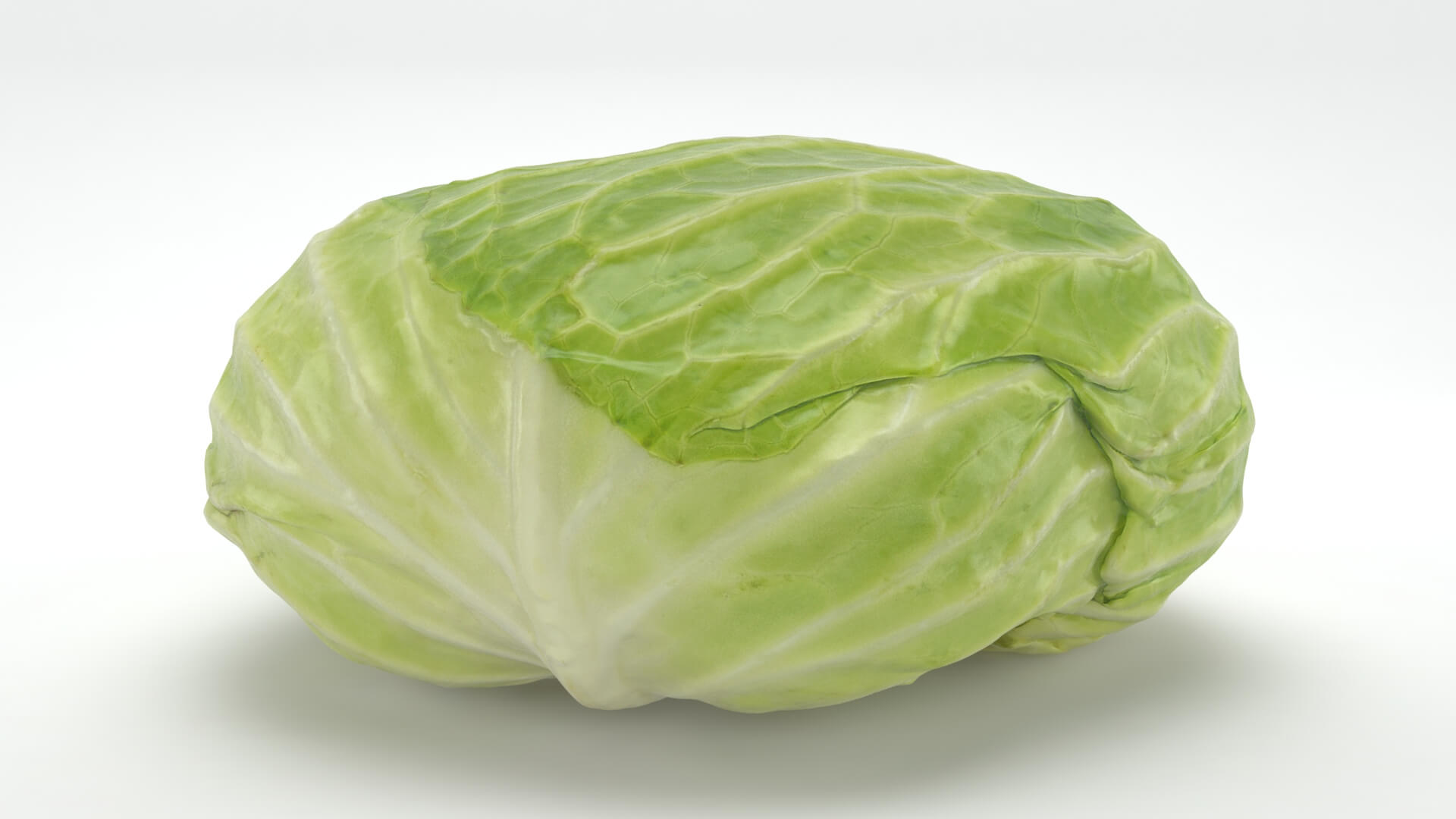 Flat Cabbage - 3D Scanned 3D Model