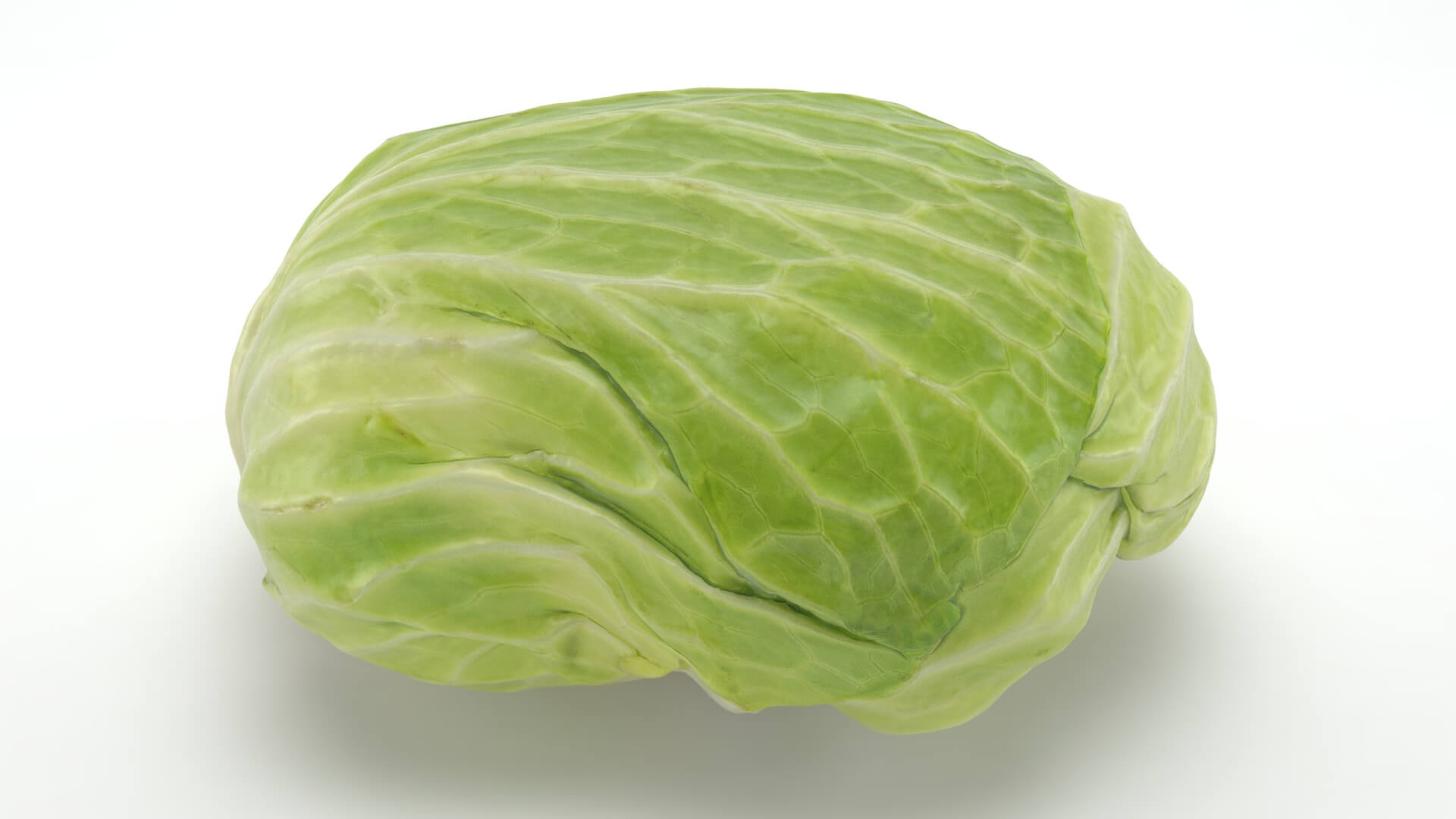 Flat Cabbage - 3D Scanned 3D Model