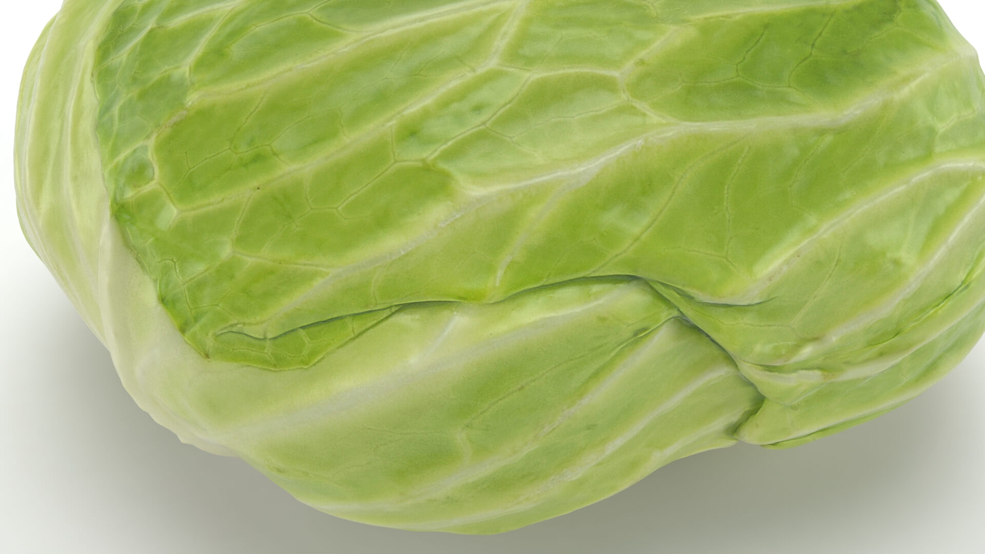Flat Cabbage - 3D Scanned 3D Model