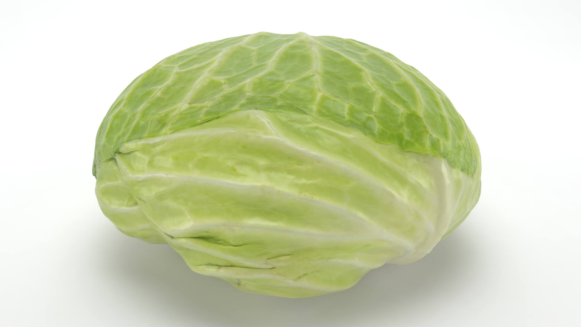 Flat Cabbage - 3D Scanned 3D Model