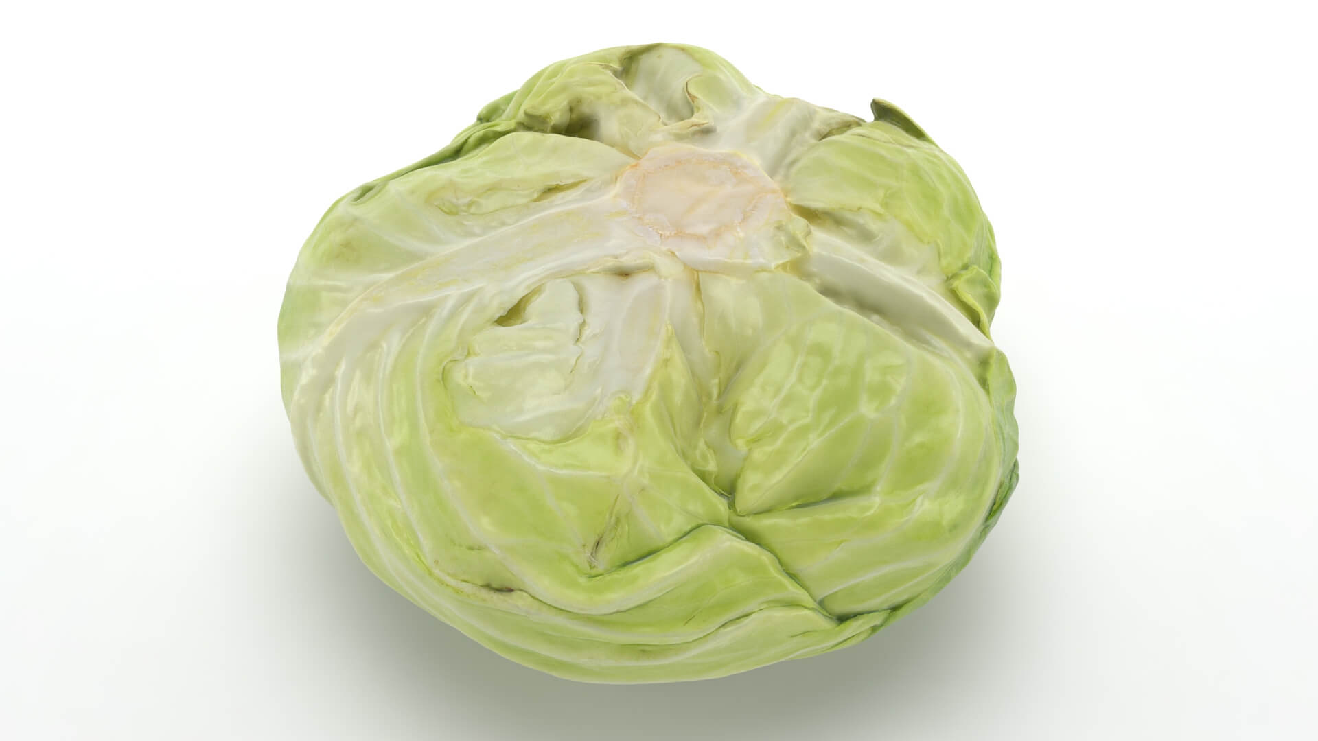 Flat Cabbage - 3D Scanned 3D Model