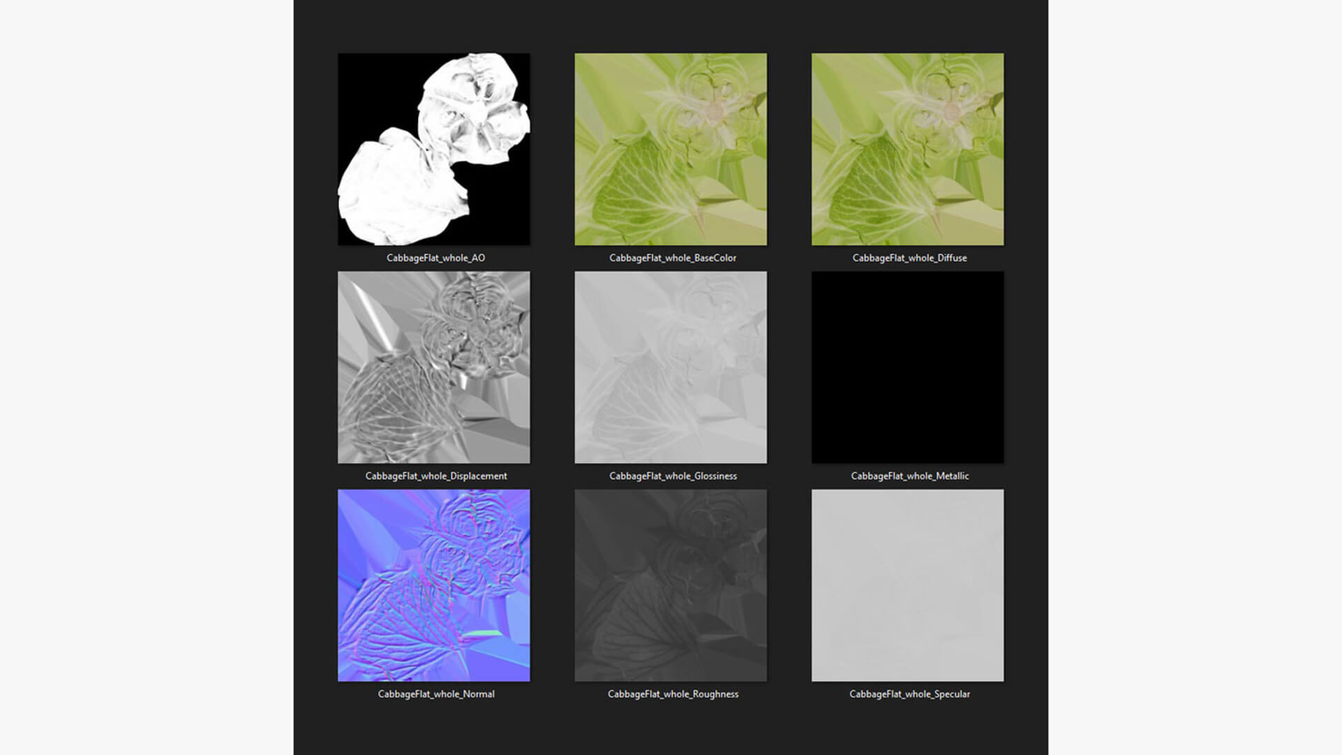 Flat Cabbage - 3D Scanned 3D Model