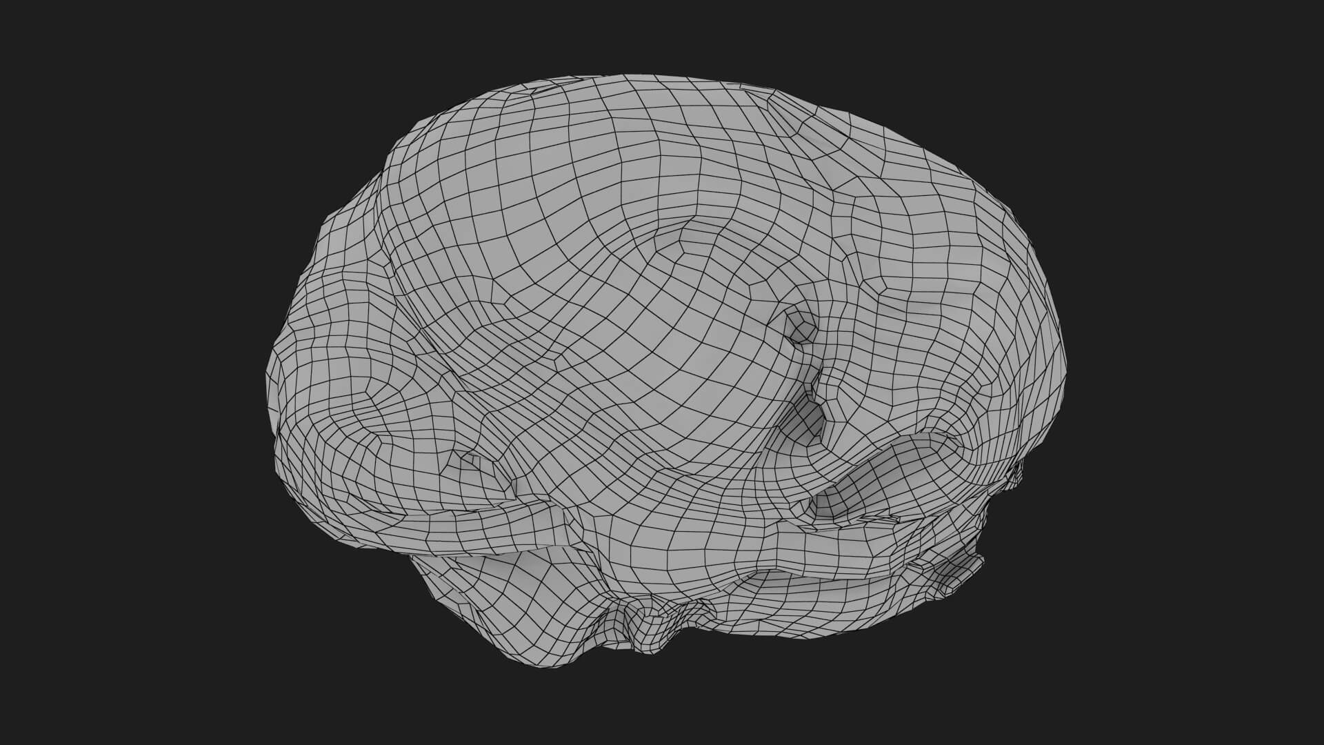 Flat Cabbage - 3D Scanned 3D Model