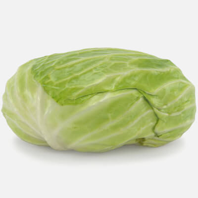Flat Cabbage - 3D Scanned