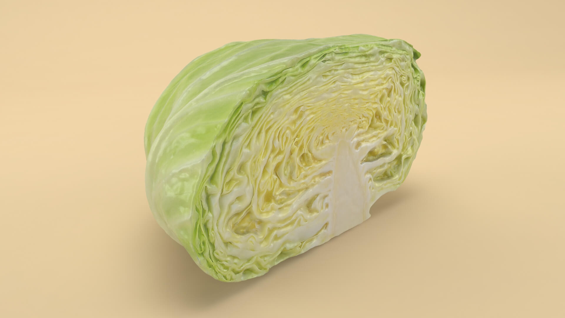 Flat Cabbage Half - 3D Scanned 3D Model
