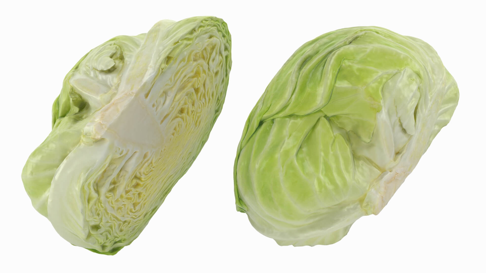 Flat Cabbage Half - 3D Scanned 3D Model