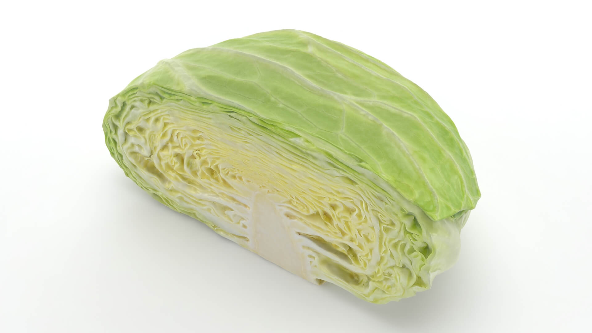 Flat Cabbage Half - 3D Scanned 3D Model