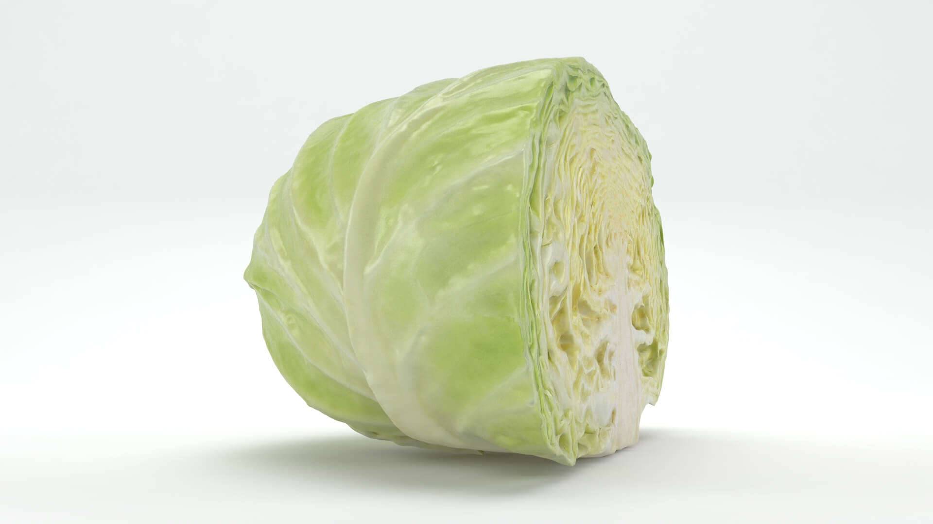 Flat Cabbage Half - 3D Scanned 3D Model