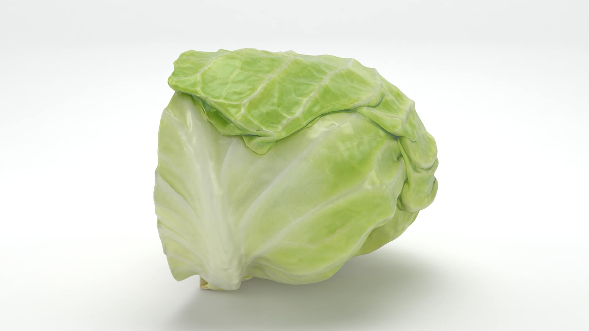 Flat Cabbage Half - 3D Scanned 3D Model