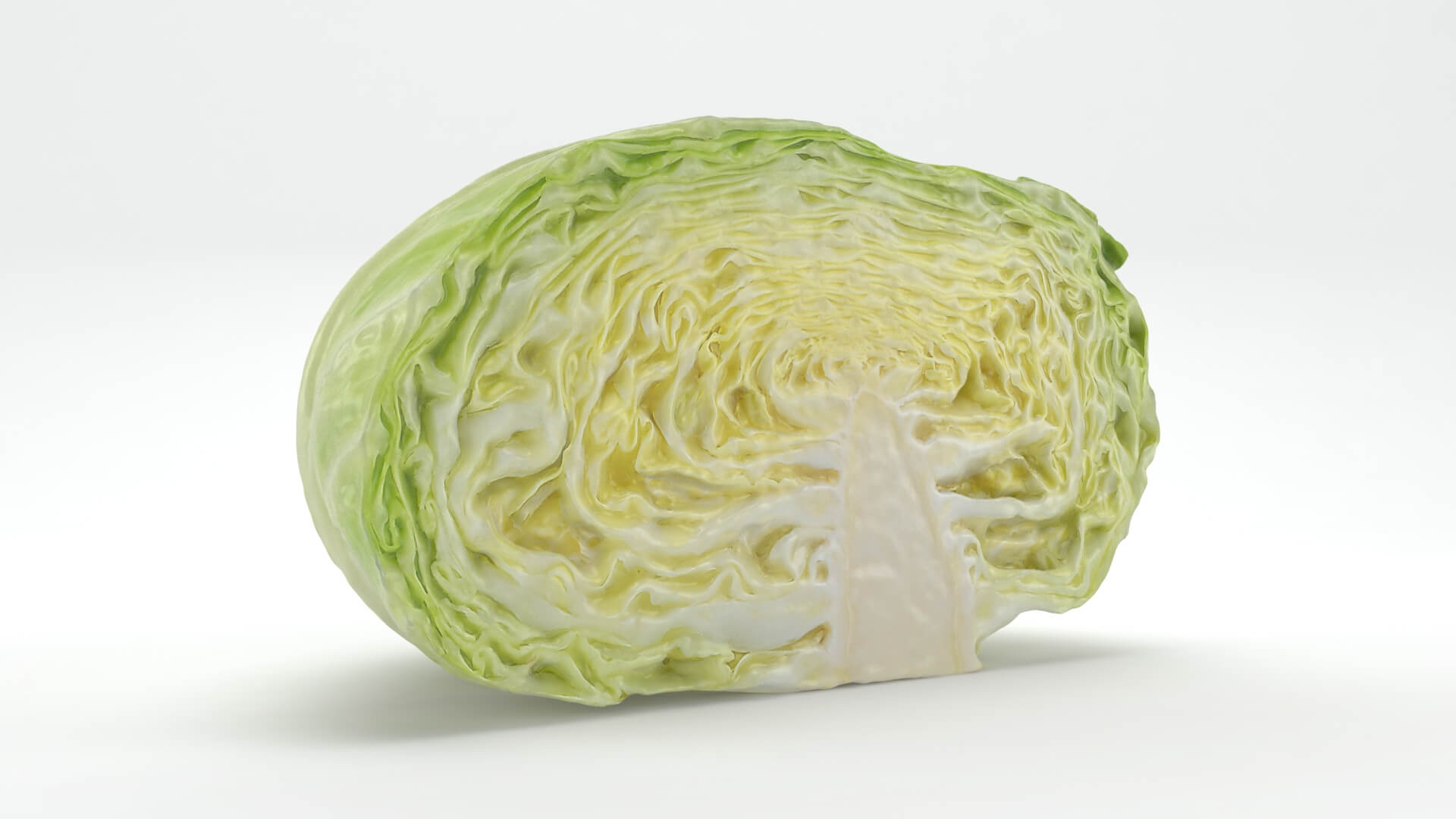 Flat Cabbage Half - 3D Scanned 3D Model