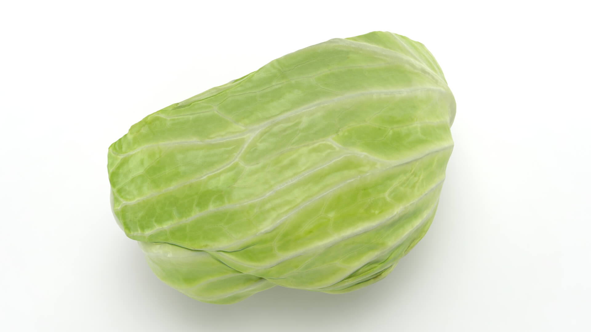 Flat Cabbage Half - 3D Scanned 3D Model