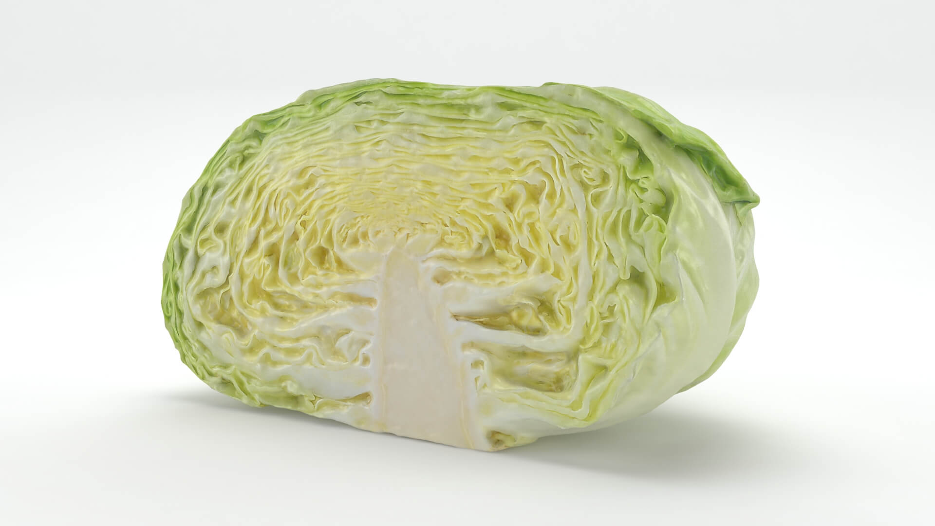 Flat Cabbage Half - 3D Scanned 3D Model