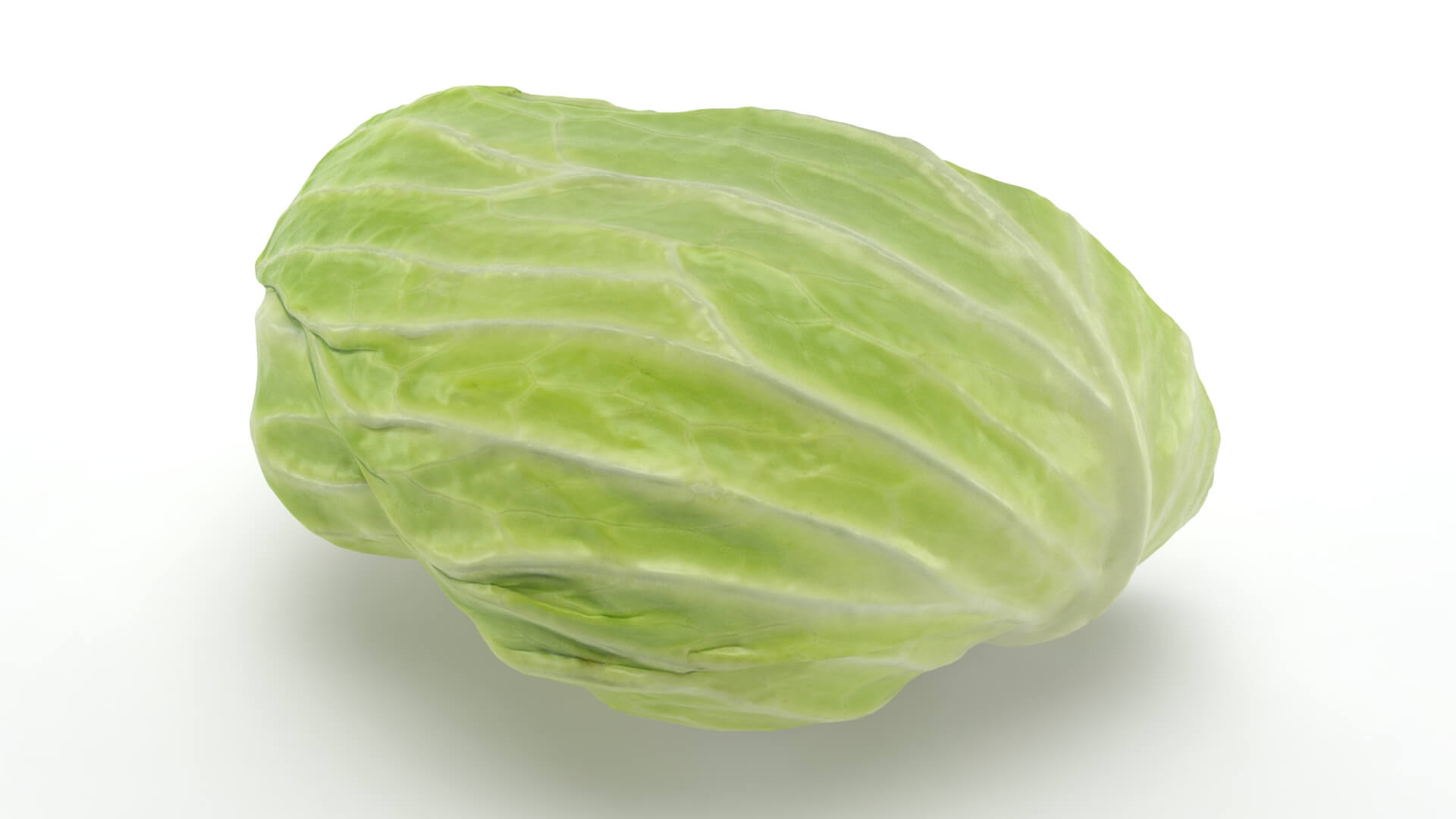 Flat Cabbage Half - 3D Scanned 3D Model