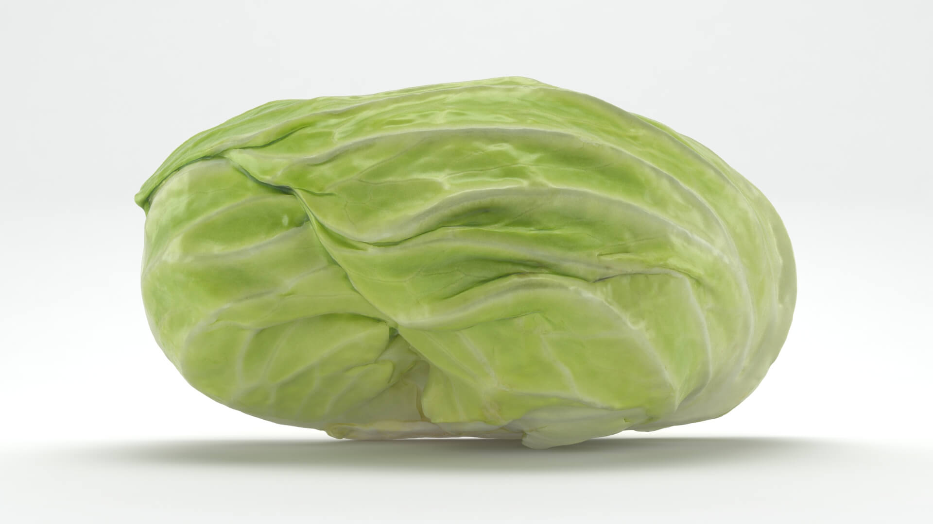 Flat Cabbage Half - 3D Scanned 3D Model