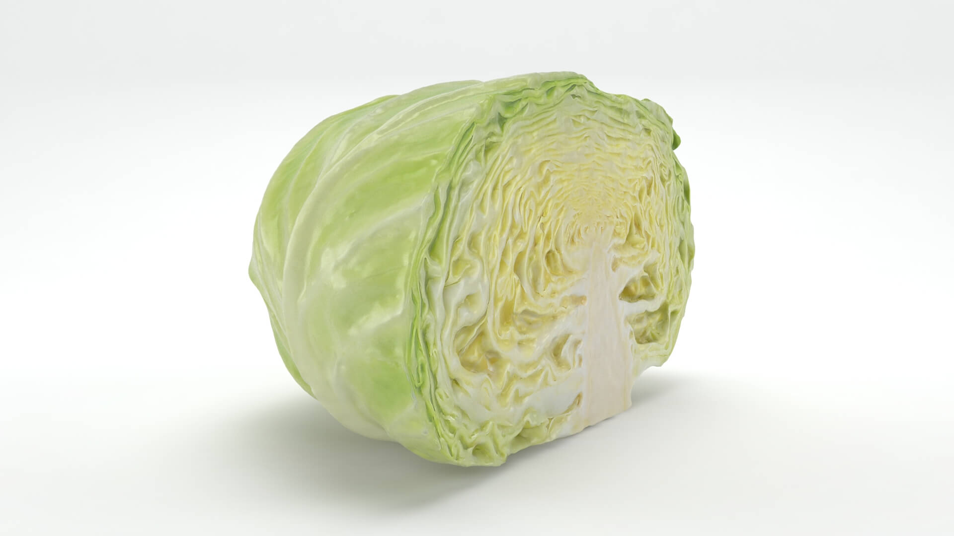 Flat Cabbage Half - 3D Scanned 3D Model