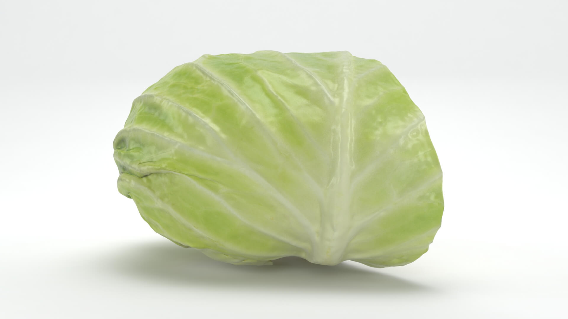 Flat Cabbage Half - 3D Scanned 3D Model