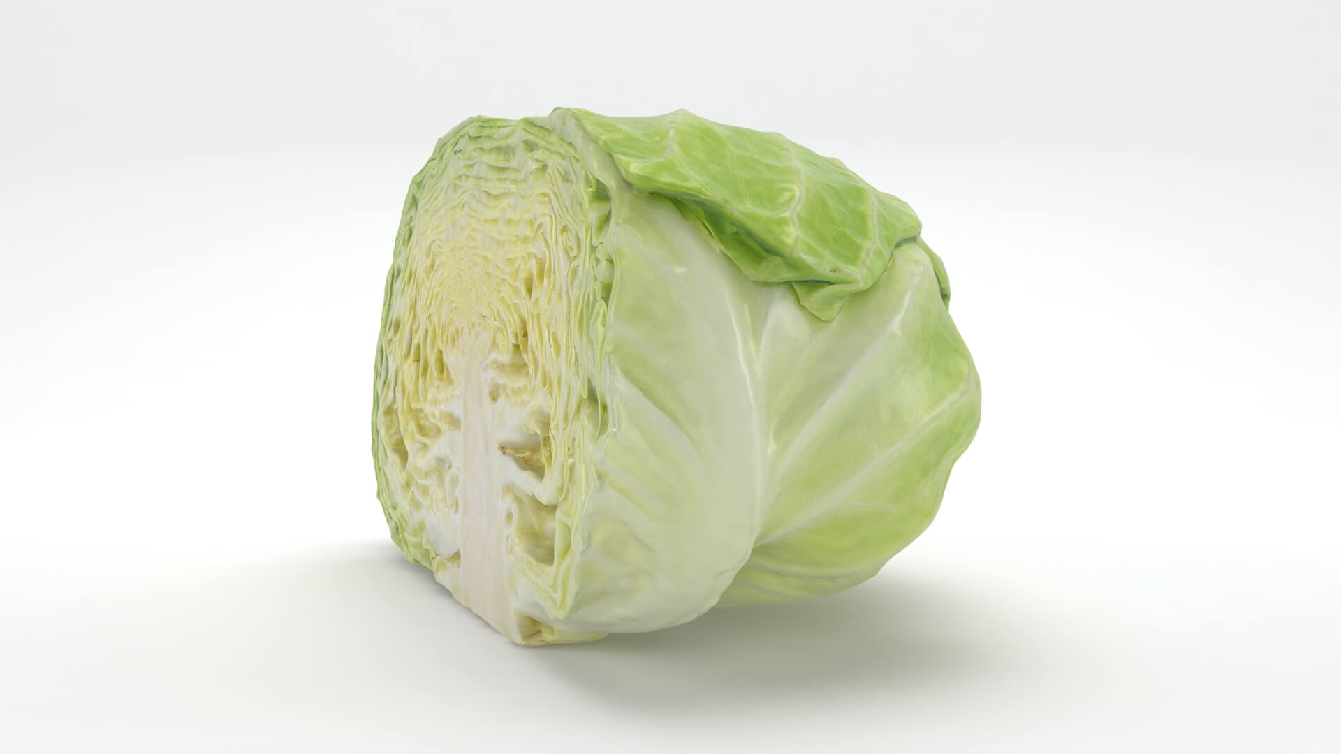 Flat Cabbage Half - 3D Scanned 3D Model
