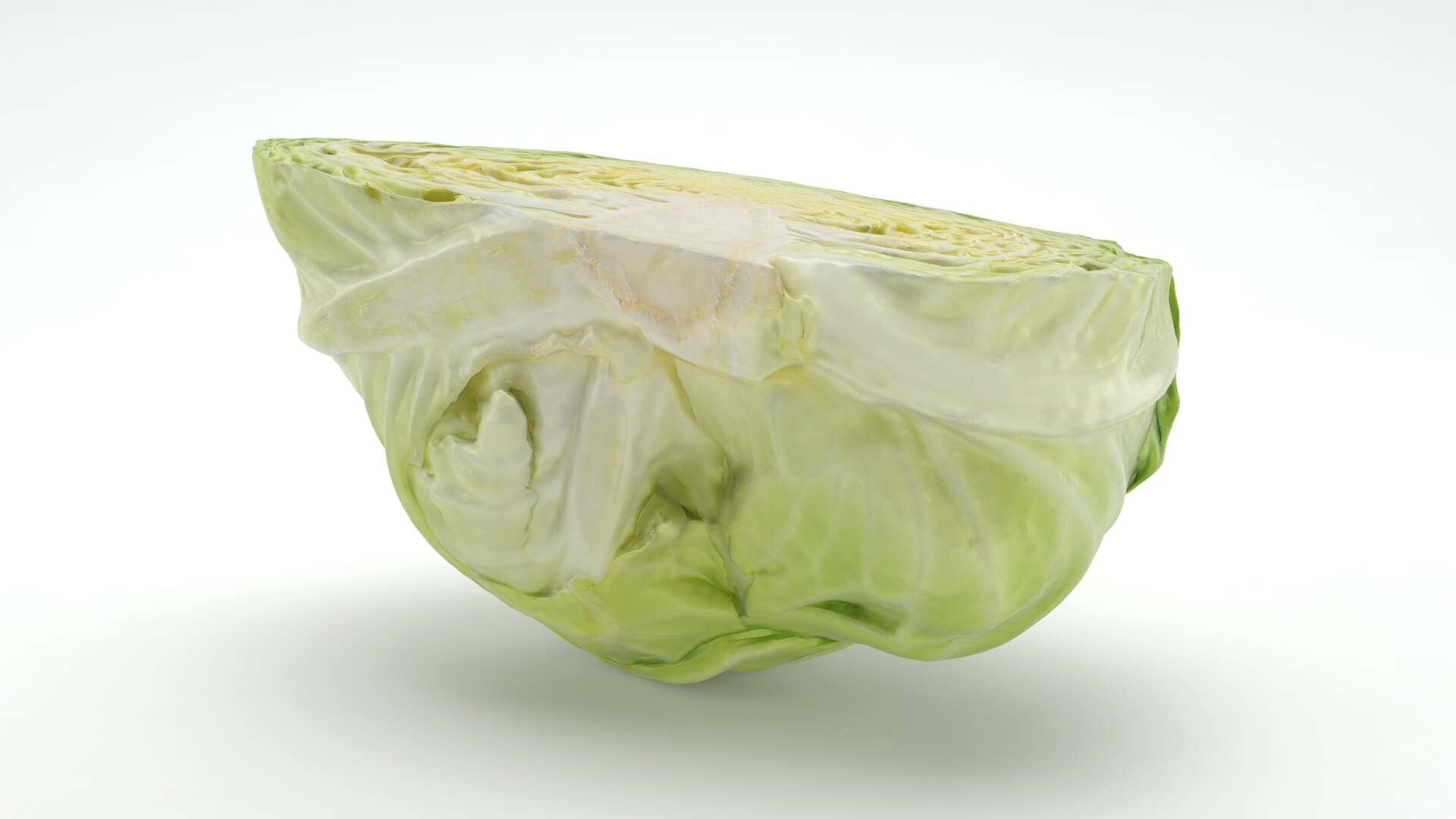 Flat Cabbage Half - 3D Scanned 3D Model